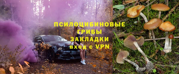 крисы Костерёво