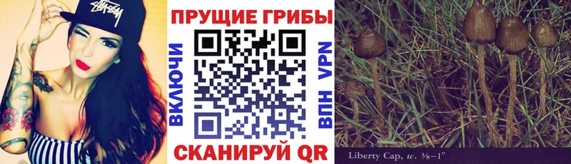 Псилоцибиновые грибы GOLDEN TEACHER  Балашиха 